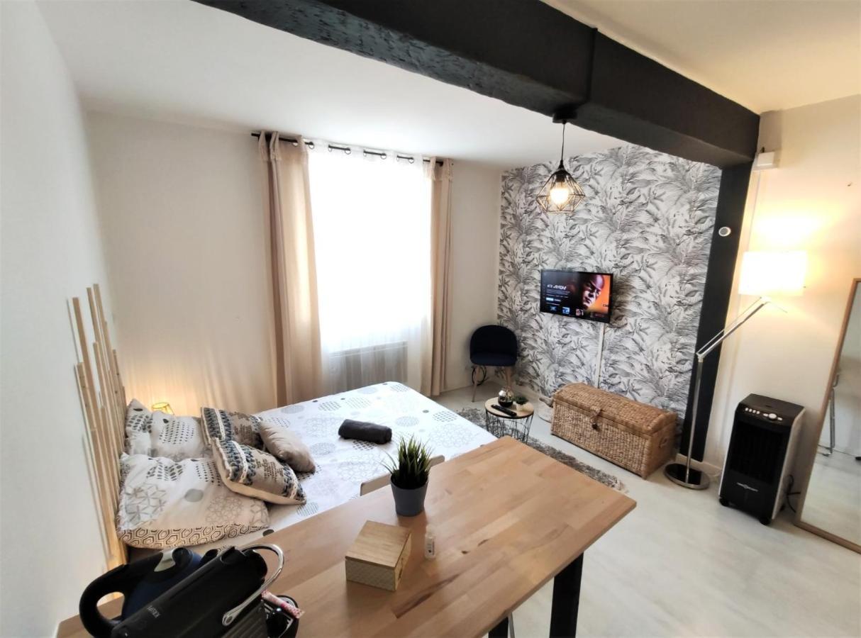 Le Jasmin Des Carmes - Hypercentre - Netflix Apartment ตูลูส ภายนอก รูปภาพ