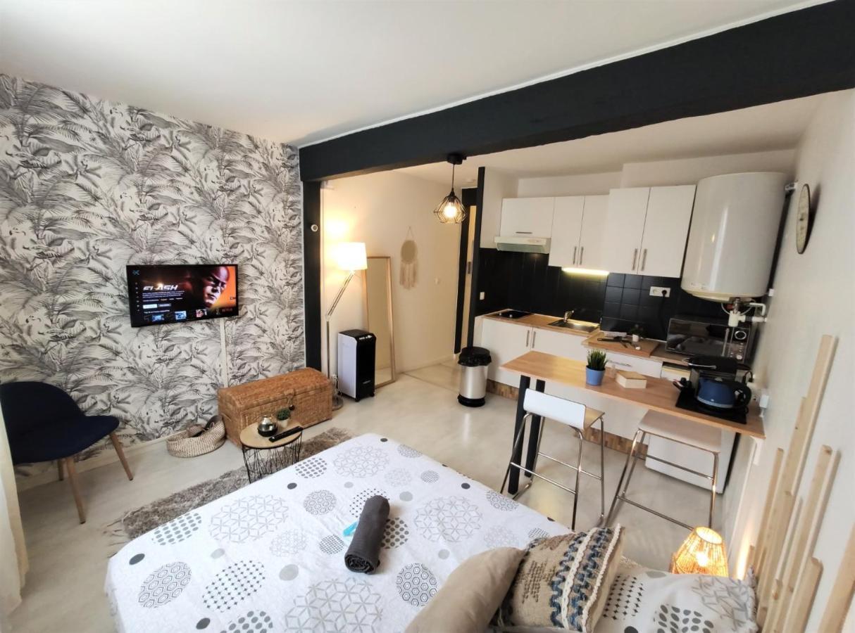 Le Jasmin Des Carmes - Hypercentre - Netflix Apartment ตูลูส ภายนอก รูปภาพ
