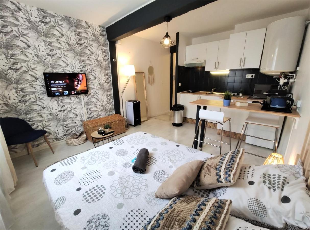 Le Jasmin Des Carmes - Hypercentre - Netflix Apartment ตูลูส ภายนอก รูปภาพ